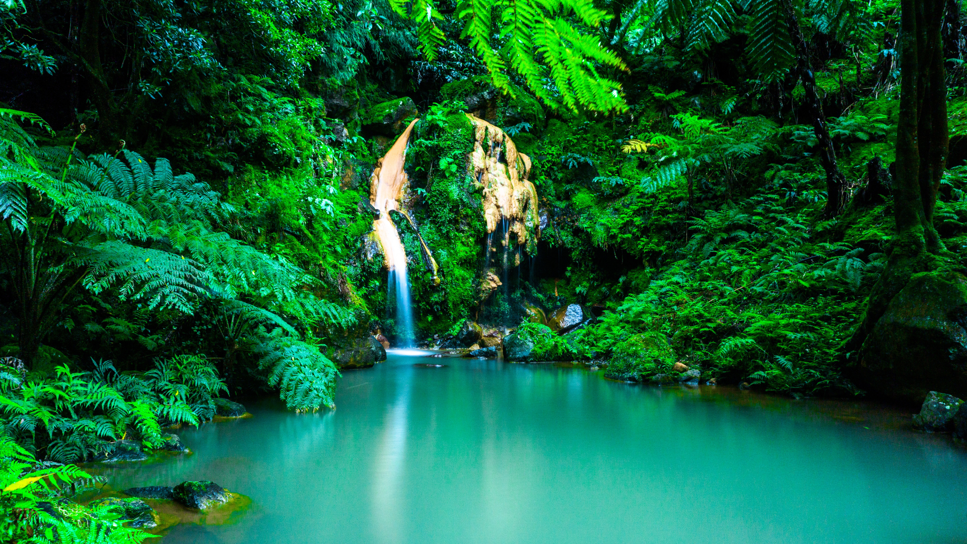 The Azores with Urban Folx Travel
